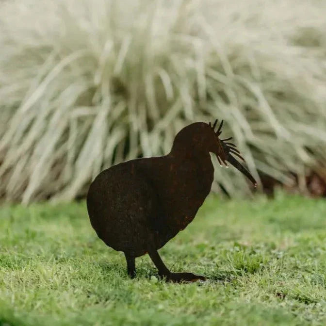 Kiwis