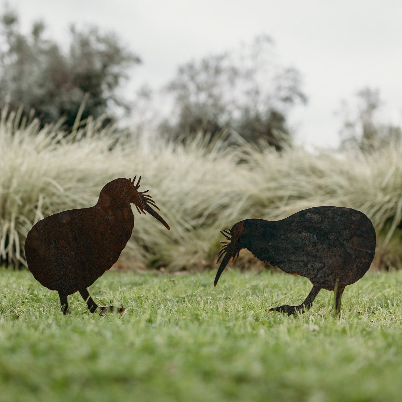 Kiwis