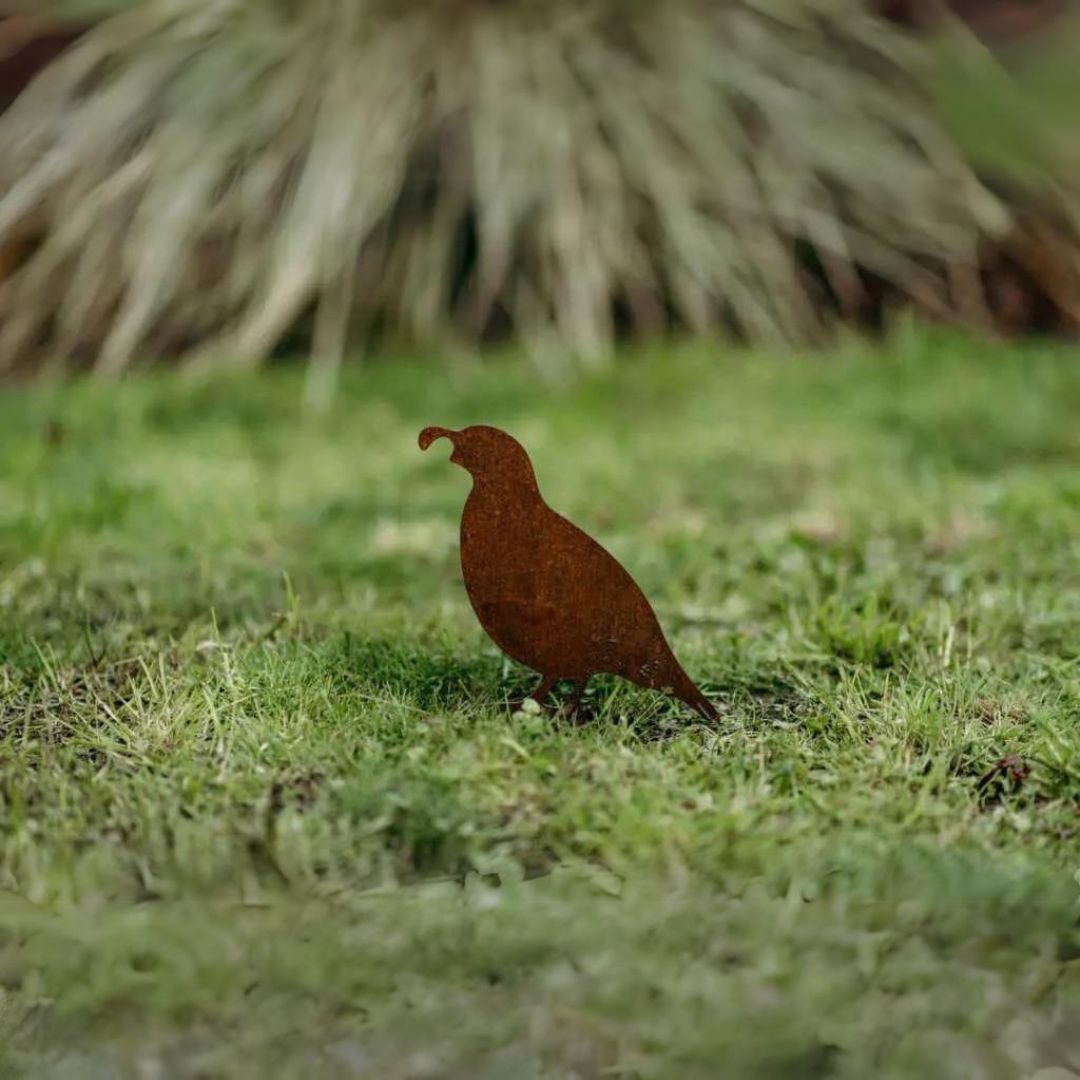 Quail