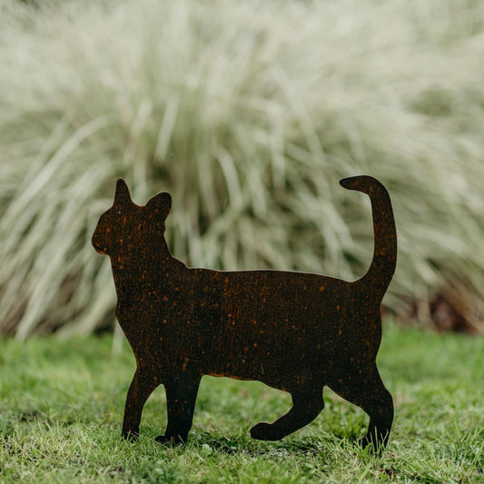 Cats