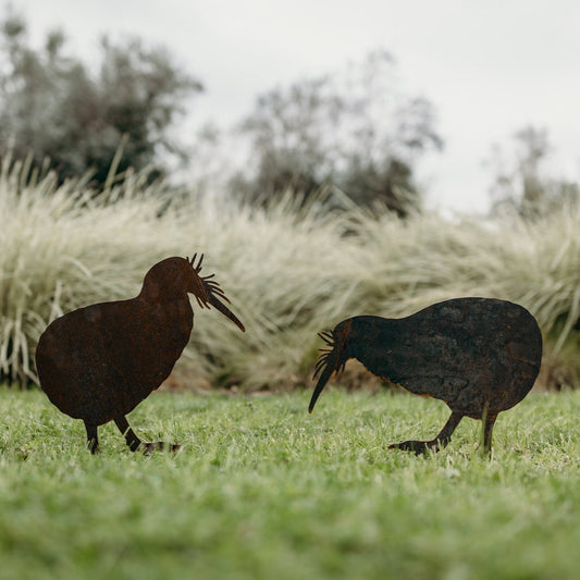 Kiwis