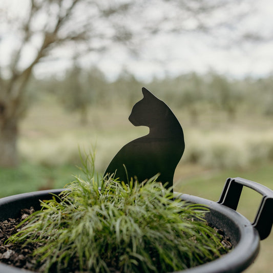 Chairman Meow