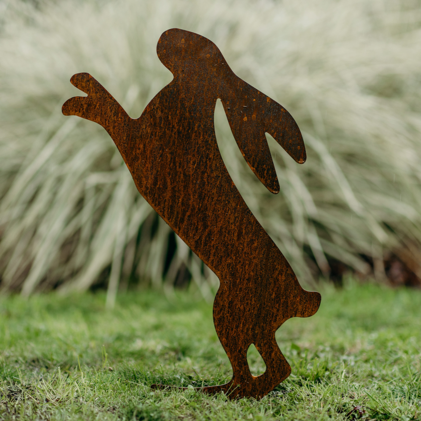 Boxing hares