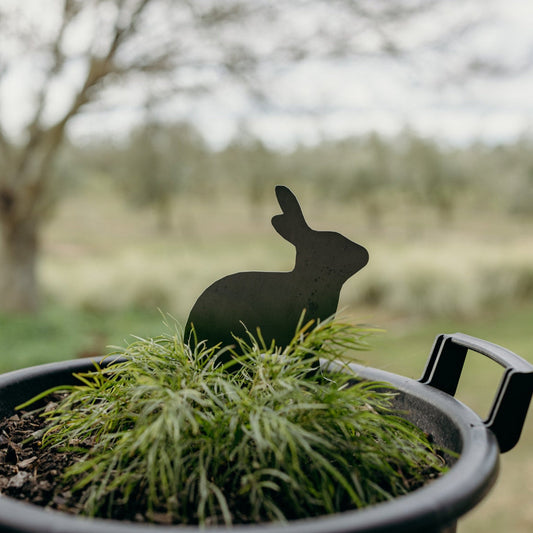 Warren Peace the Sitting Rabbit